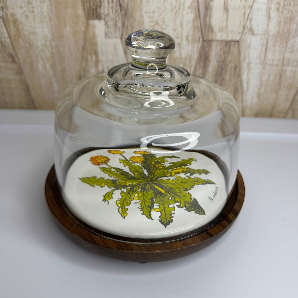Vintage Goodwood Cheese Dome Dandelion Ceramic Wood Glass Cloche Japan MCM
